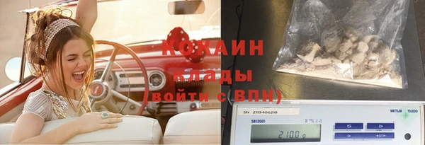метадон Новодвинск