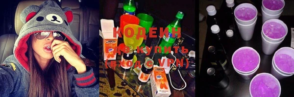 индика Нефтекумск