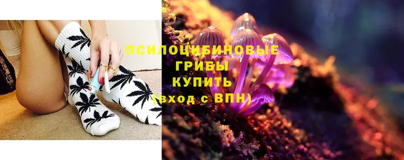 Псилоцибиновые грибы Psilocybe  darknet клад  Сосновка  OMG ССЫЛКА 