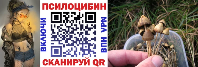 Галлюциногенные грибы Magic Shrooms Сосновка