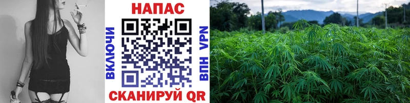 где можно купить наркотик  Сосновка  Бошки марихуана планчик 